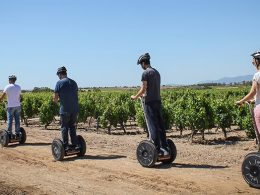 Tour tra i vigneti delle cantine Argiolas
