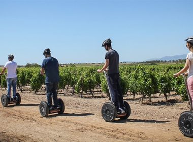 Tour tra i vigneti delle cantine Argiolas