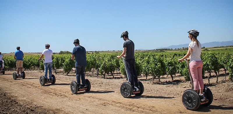 Tour tra i vigneti delle cantine Argiolas
