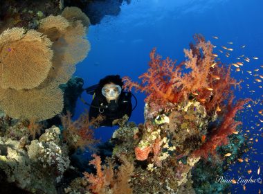 Ornella Ditel diving a Sharm-El-Sheikh