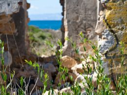 Davide Bedin Sardegna Flickr | Ricerca sul Revenue management alberghiero in Sardegna