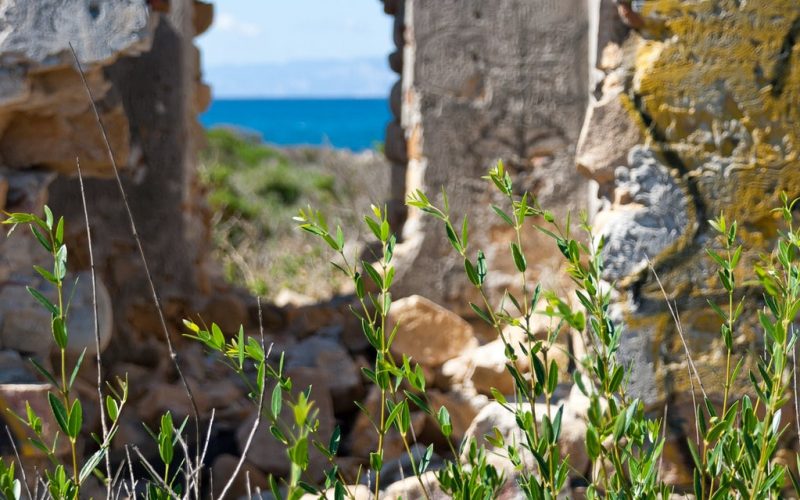 Davide Bedin Sardegna Flickr | Ricerca sul Revenue management alberghiero in Sardegna