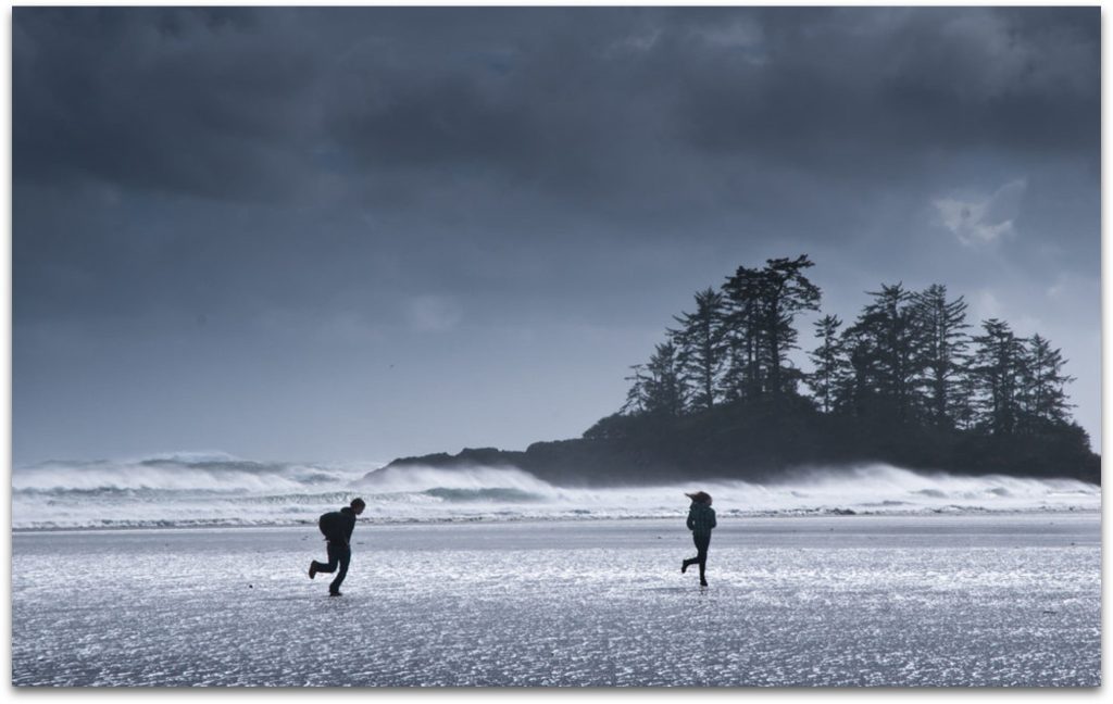 Tofino Storm Watching