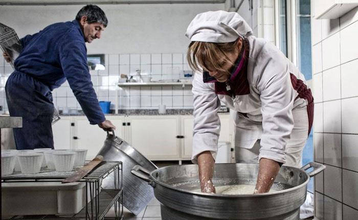 Monica Saba mentre prepara il latte nella sua Genna 'e Sciria